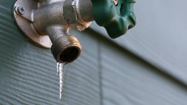 Best Emergency Plumber  in Bronson, FL